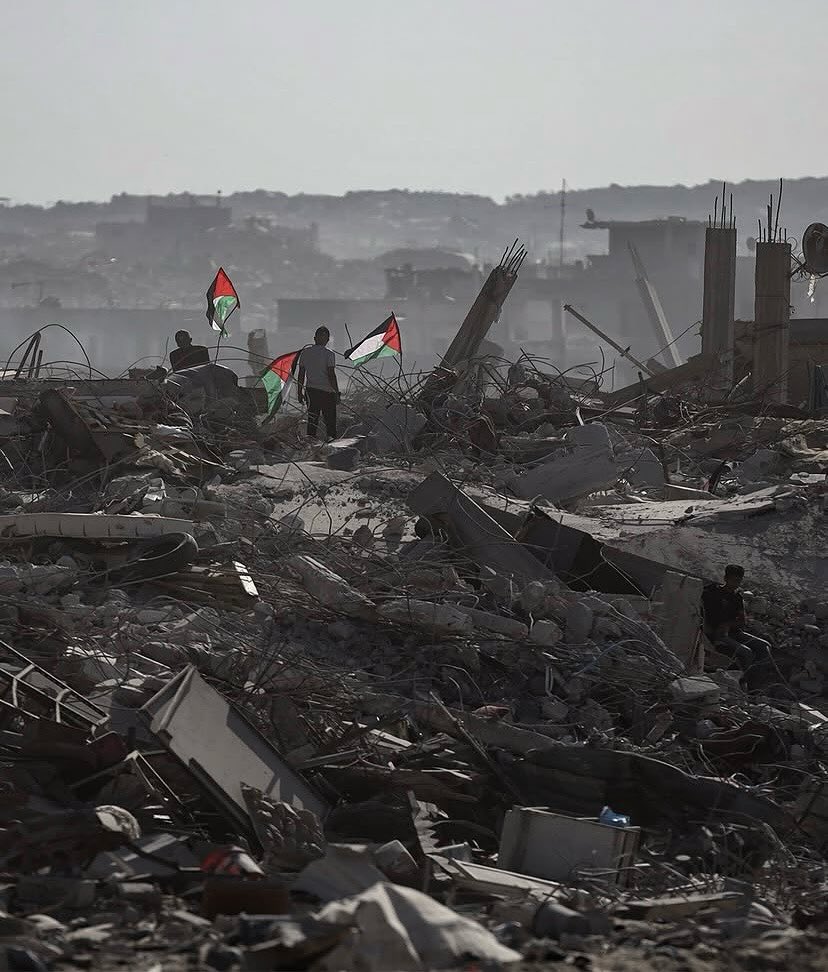 MuhammadSmiry's tweet photo. We will rebuild it, Gaza. https://t.co/I1LKa8N3x3