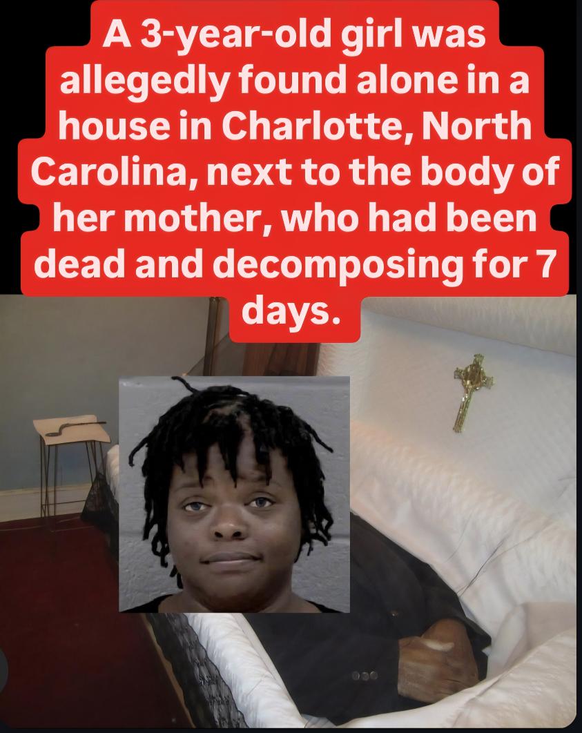 CriminalLibrary's tweet image. A 3-year-old girl in Charlotte survived 7 days alone beside her mom’s decomposing body, living on cereal and juice, thinking she was sleeping.

📌 Charlotte Alerts
#CriminalLibrary #Charlotte #TrueCrime #BreakingNews