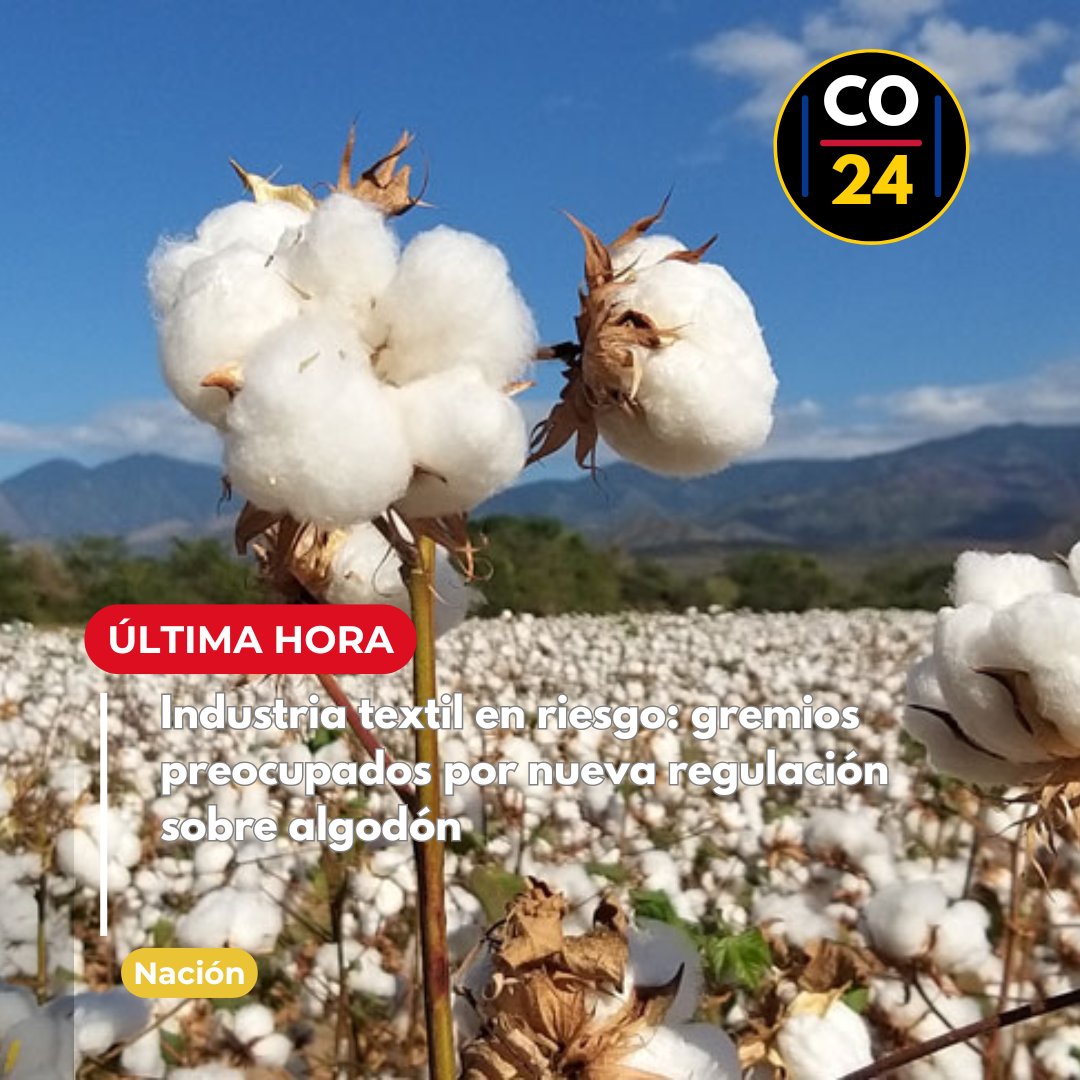 colombia24horas's tweet image. #Nacionales #industriatextil #conalgodón #algodón #algodón | Mientras los ministerios de Comercio, Industria y Turismo y de Hacienda defienden la medida señalando que busca reducir costos para la industria textil, el presidente de Conalgodón...