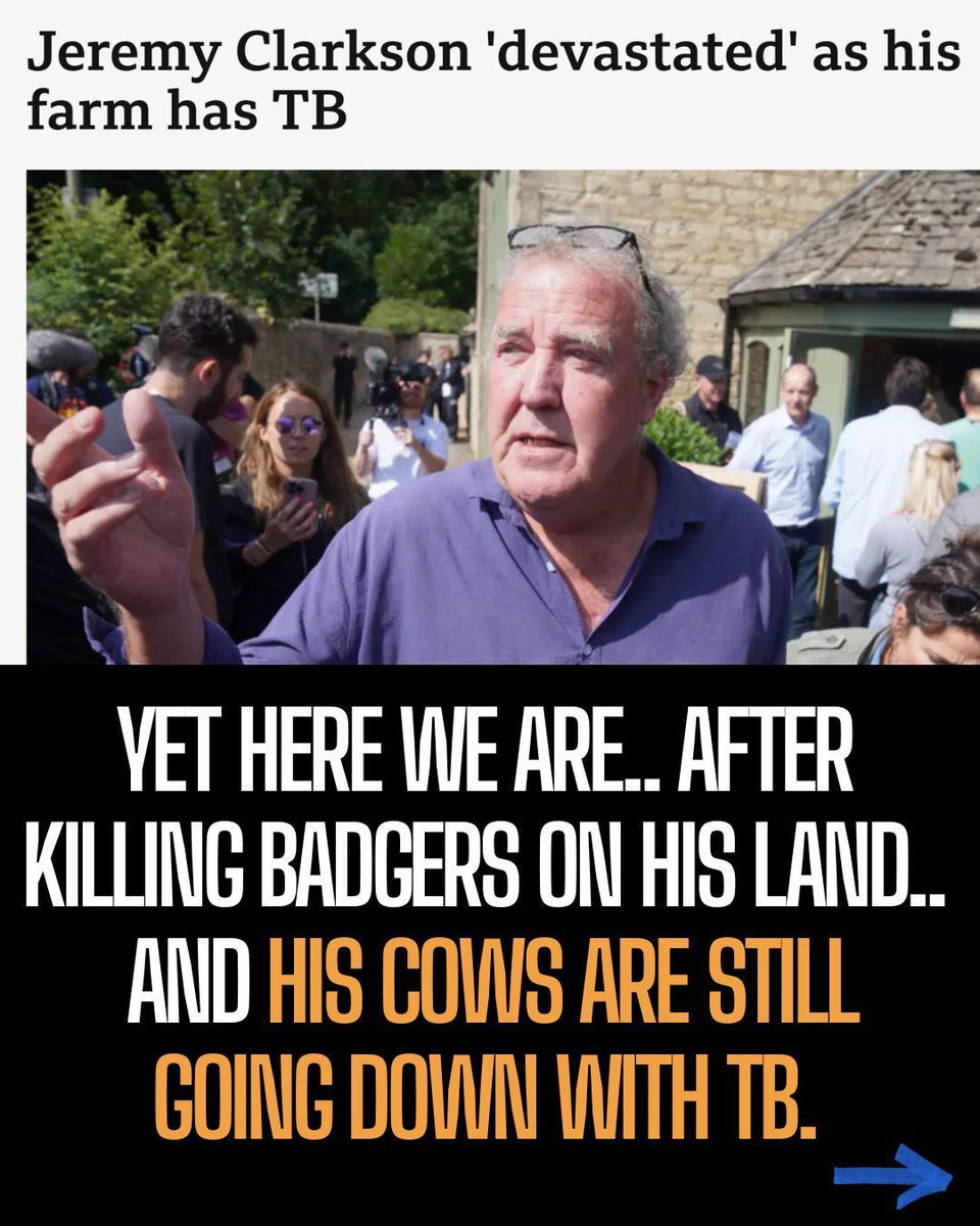Jeremy Clarkson has been forced to kill his first calf after a TB outbreak — despite bragging he’d already “shot all the badgers.”

Turns out, the real problem isn’t badgers. It’s a broken testing system. 🦡
