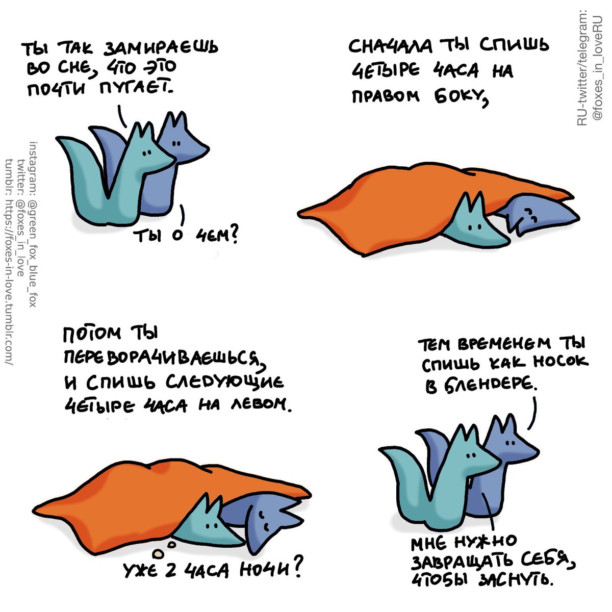 Влюбленные лисы (@foxes_in_loveru) on Twitter photo 