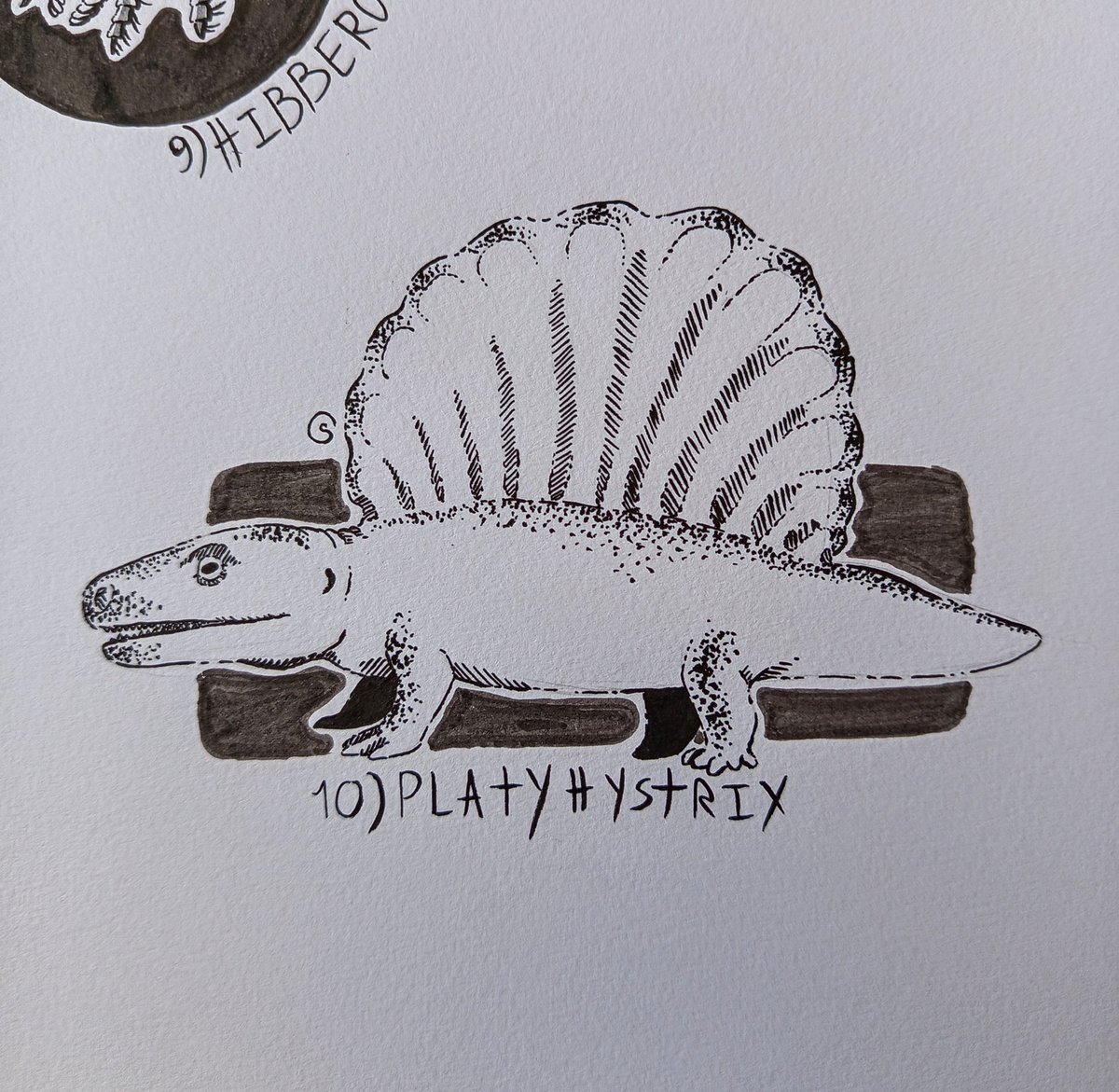 transosaur_art's tweet image. Day 10 : Platyhystrix

An amphibian from the late Carboniferous and early Permian periods.

Share and donate for Saeb from Gaza : chuffed.org/project/138207…

#platyhystrix #amphibian #paleoart #paleoctober #carboniferous #permian #paleozoic #art #inktober #inktober2025