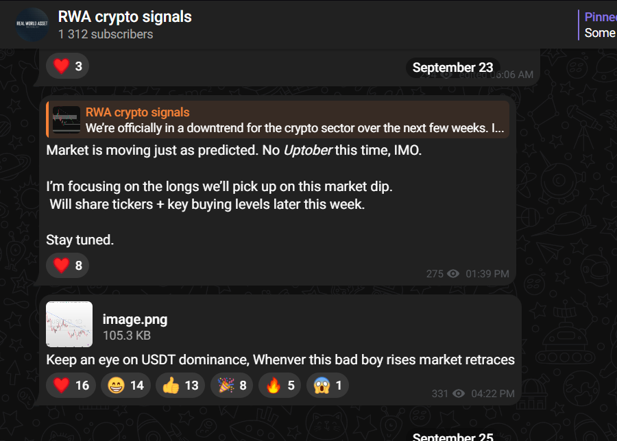 Real World Asset Watchlist tweet media