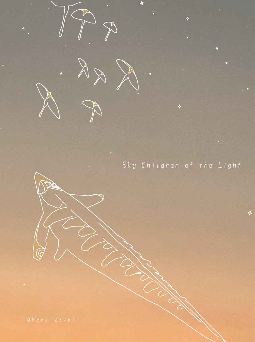 ✧• ─────────── •✧
 #sky写真部