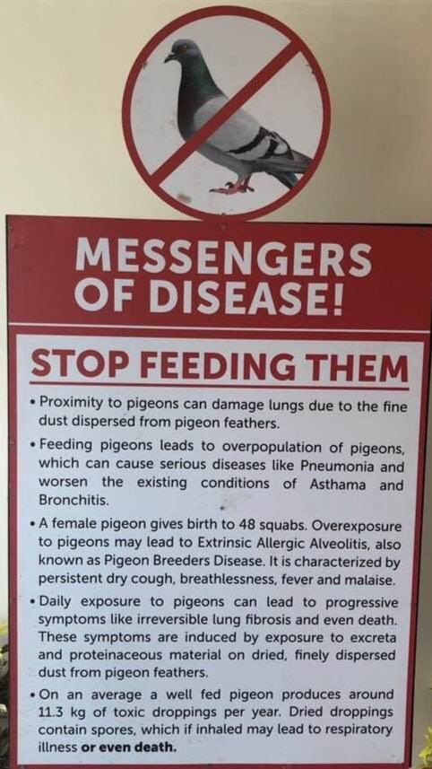 Remember #Pigeons Messengers of Disease.

Let the party begin.