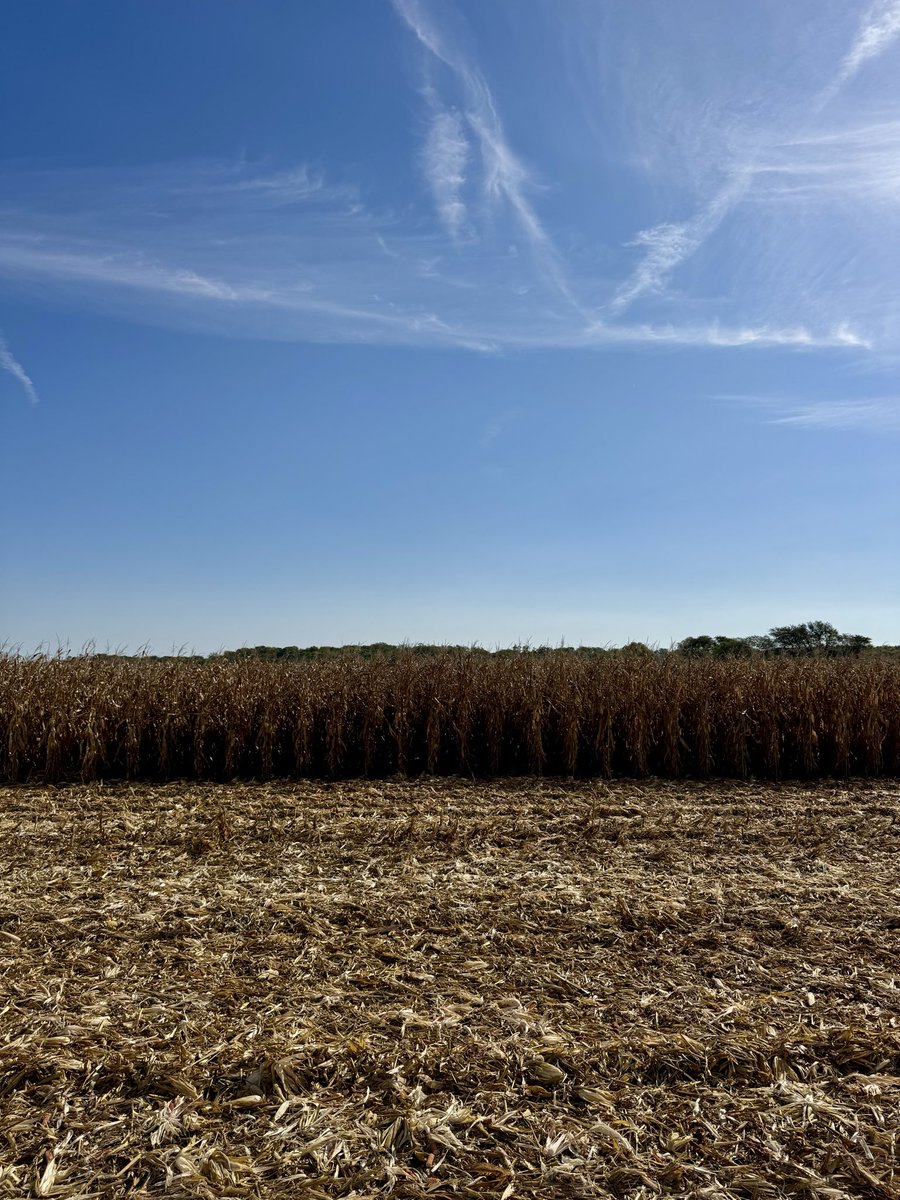 Clint Chaffer tweet media