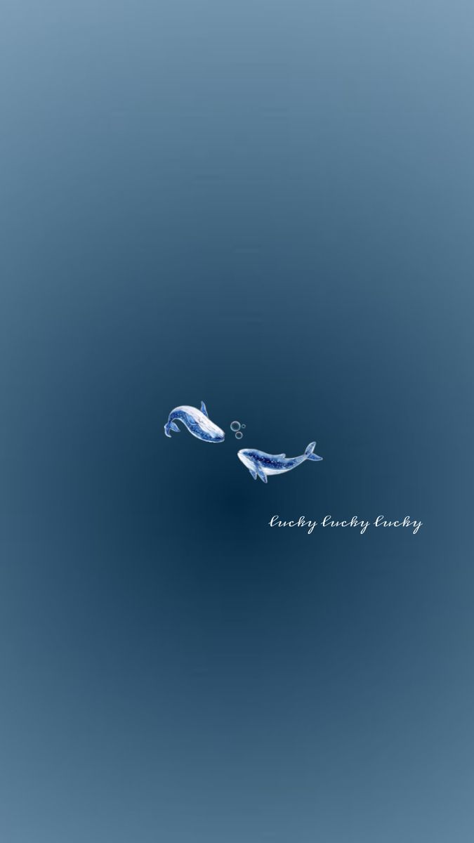 SnWalpaper4K's tweet image. Lucky lucky lucky !

#Wallpapers #iOS26