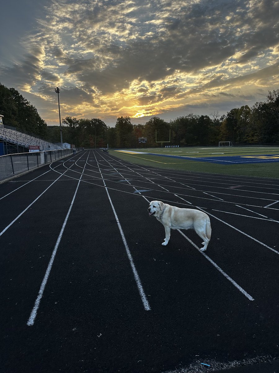 xvermonter61's tweet image. It’s a beautiful day and the weekend! Woot woot! Wishing you happy moments to fill your day! #DogsofTwitter #WeekendVibes
