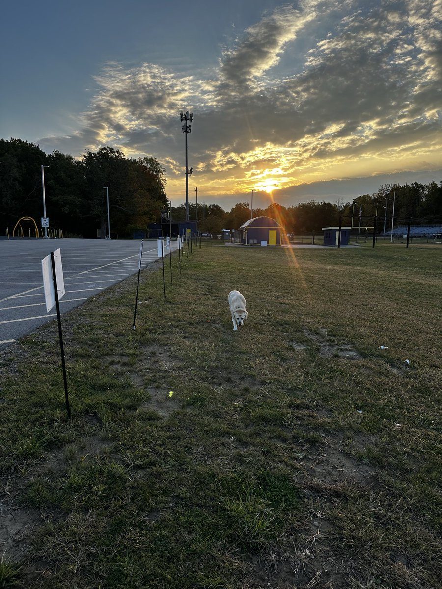 xvermonter61's tweet image. It’s a beautiful day and the weekend! Woot woot! Wishing you happy moments to fill your day! #DogsofTwitter #WeekendVibes