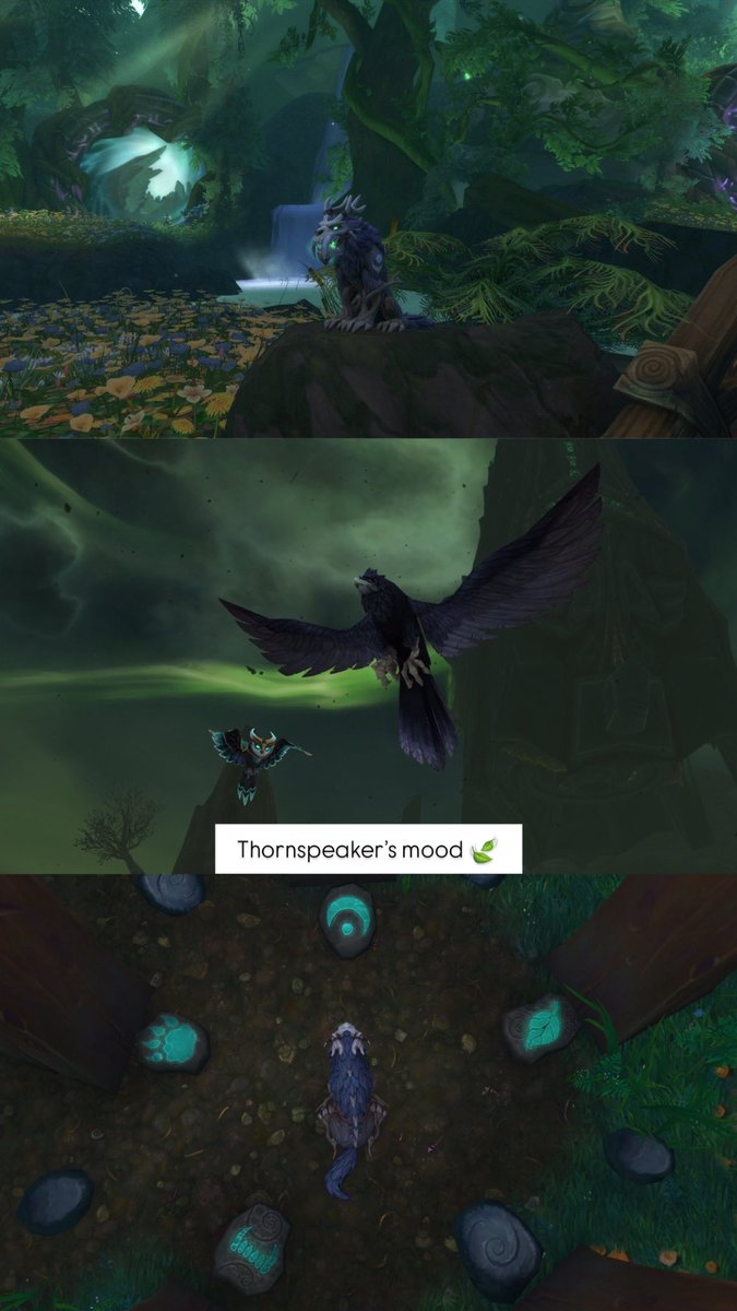 aequi_libre's tweet image. One more day in Legion Remix 💚
@Warcraft @Warcraft_FR #druid #thornspeaker #worldofwarcraft