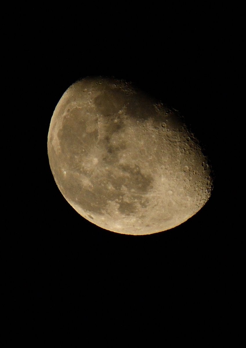 July_04th_1776's tweet image. Last nights moon rising
#moon
