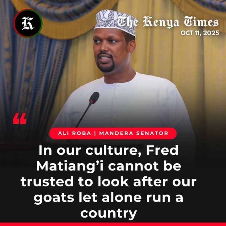 Well said super Senator and UDM party leader , captain <a href="/aliiroba/">HE. Capt. Ali Ibrahim Roba, EGH, MP</a>
