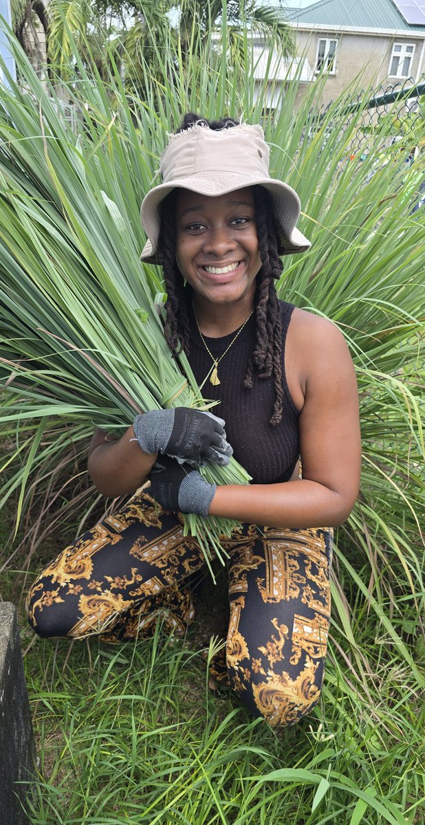 blacksciencegal's tweet image. The Lemongrass Lady 😁🍋🌿