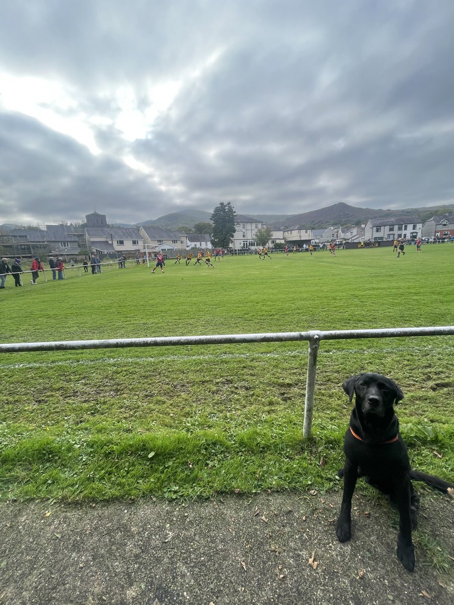 ⚽️Leo the Bangor dog🏴󠁧󠁢󠁷󠁬󠁳󠁿 tweet media