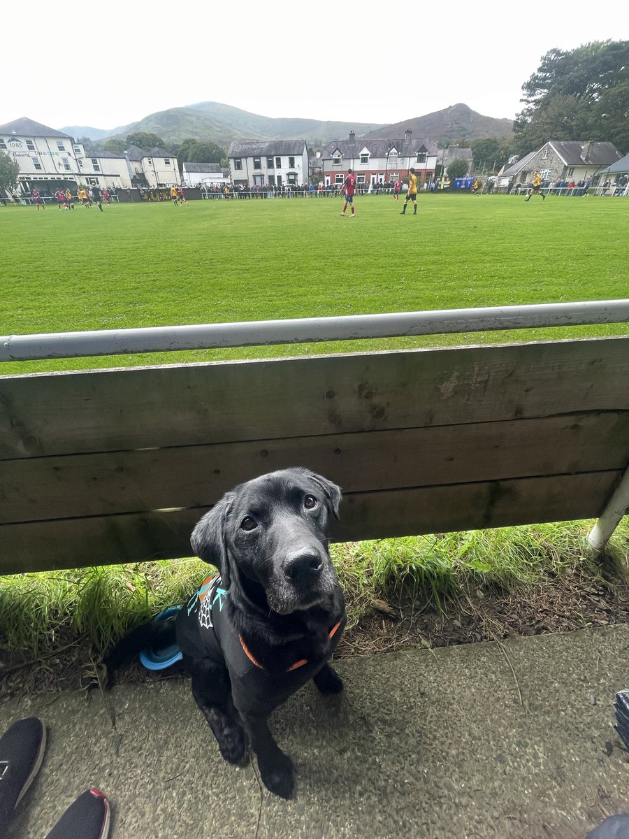 ⚽️Leo the Bangor dog🏴󠁧󠁢󠁷󠁬󠁳󠁿 tweet media