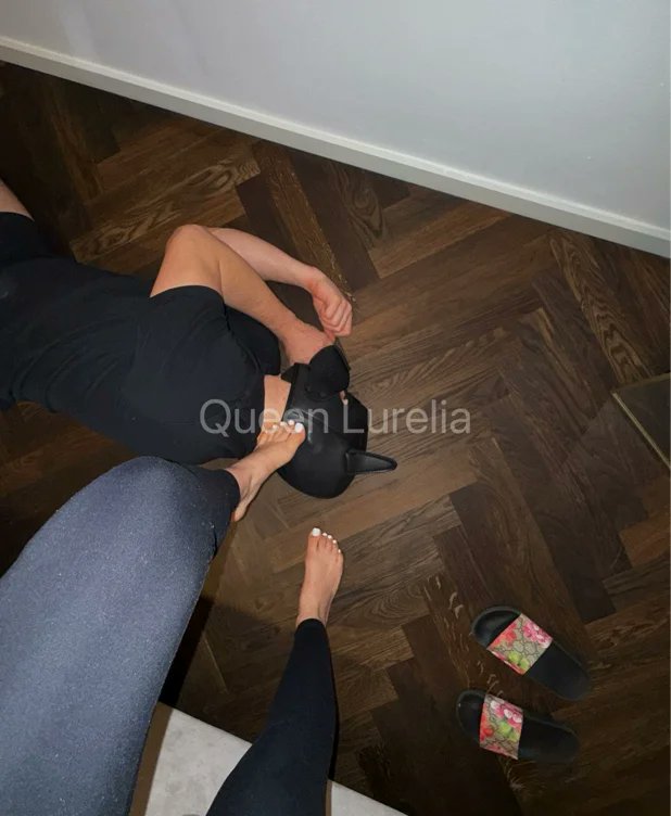 QueenLurelia's tweet photo. I just received Bark for me from Anonymous via Throne. Thank you! https://t.co/jx7Zg4QtCg #Wishlist #Throne https://t.co/bVNMx85O08