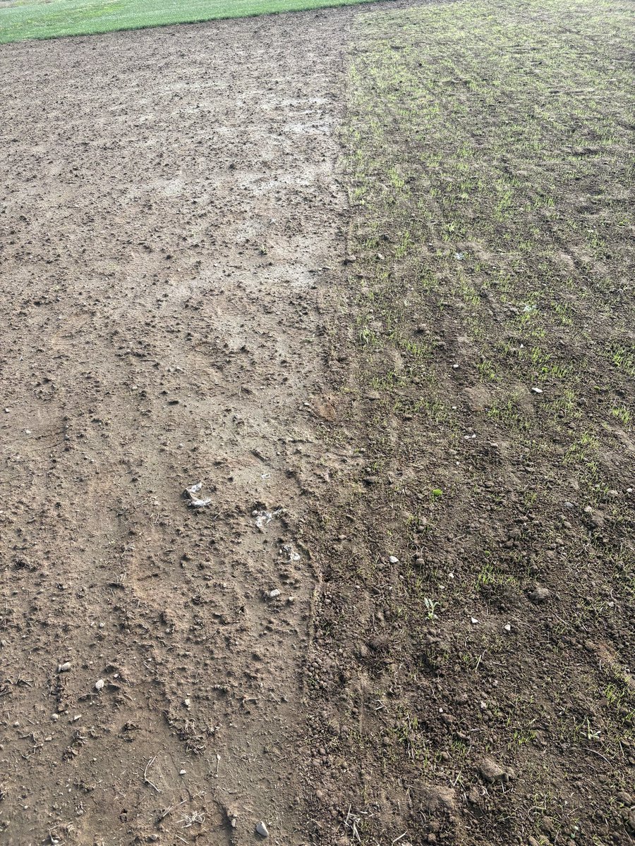 Germination blankets work…
