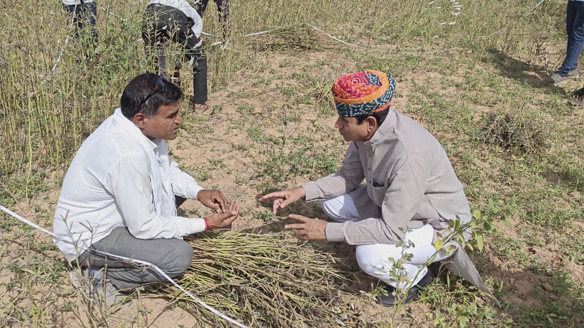 AjaysinghKilak's tweet photo. #डेगाना के ग्राम #गुंदीसर में किसान #भंवरलाल_जी_मेघवाल के खेत में ग्वार की फ़सल की औसतन पैदावार का अनुमान लगाने हेतु क्रॉप कटिंग की प्रक्रिया में भाग लिया.. 
इस दौरान डेगाना तहसीलदार जी, सहायक कृषि अधिकारी, पटवारी व बीमा तहसील कॉडीनेटर व अन्य साथी उपस्थिति रहें https://t.co/zaGbqBO3xt