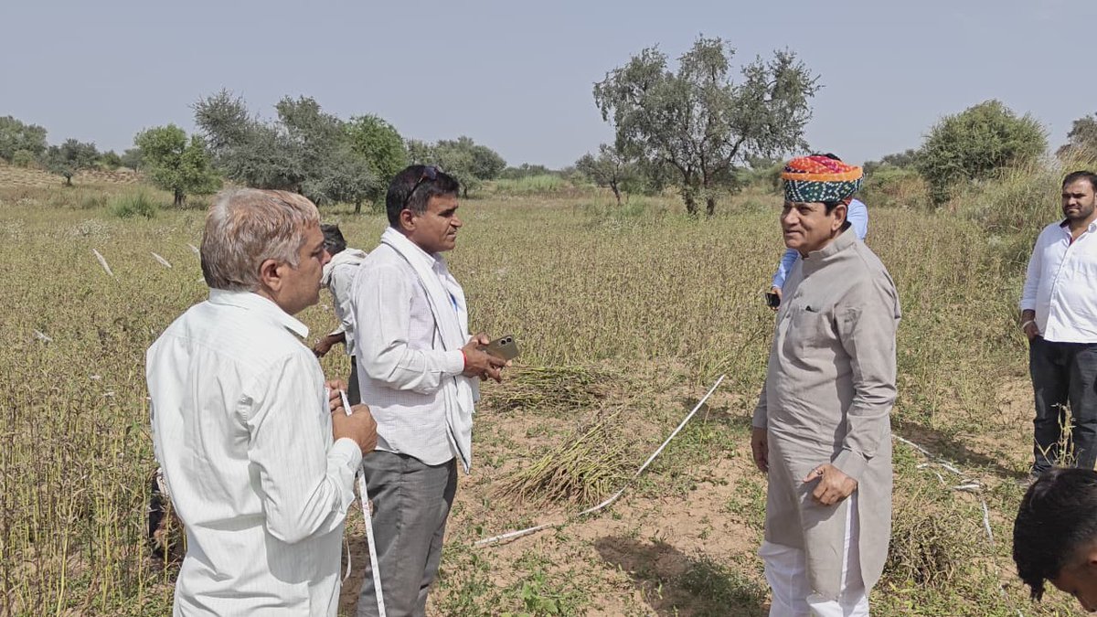 AjaysinghKilak's tweet photo. #डेगाना के ग्राम #गुंदीसर में किसान #भंवरलाल_जी_मेघवाल के खेत में ग्वार की फ़सल की औसतन पैदावार का अनुमान लगाने हेतु क्रॉप कटिंग की प्रक्रिया में भाग लिया.. 
इस दौरान डेगाना तहसीलदार जी, सहायक कृषि अधिकारी, पटवारी व बीमा तहसील कॉडीनेटर व अन्य साथी उपस्थिति रहें https://t.co/zaGbqBO3xt