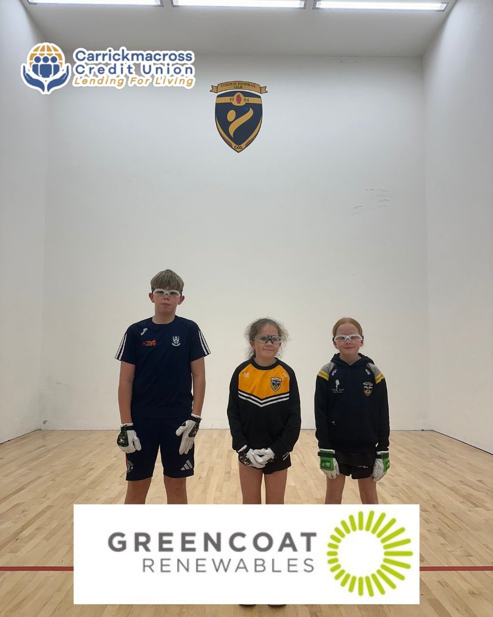 Corduff GAA Handball Club tweet media