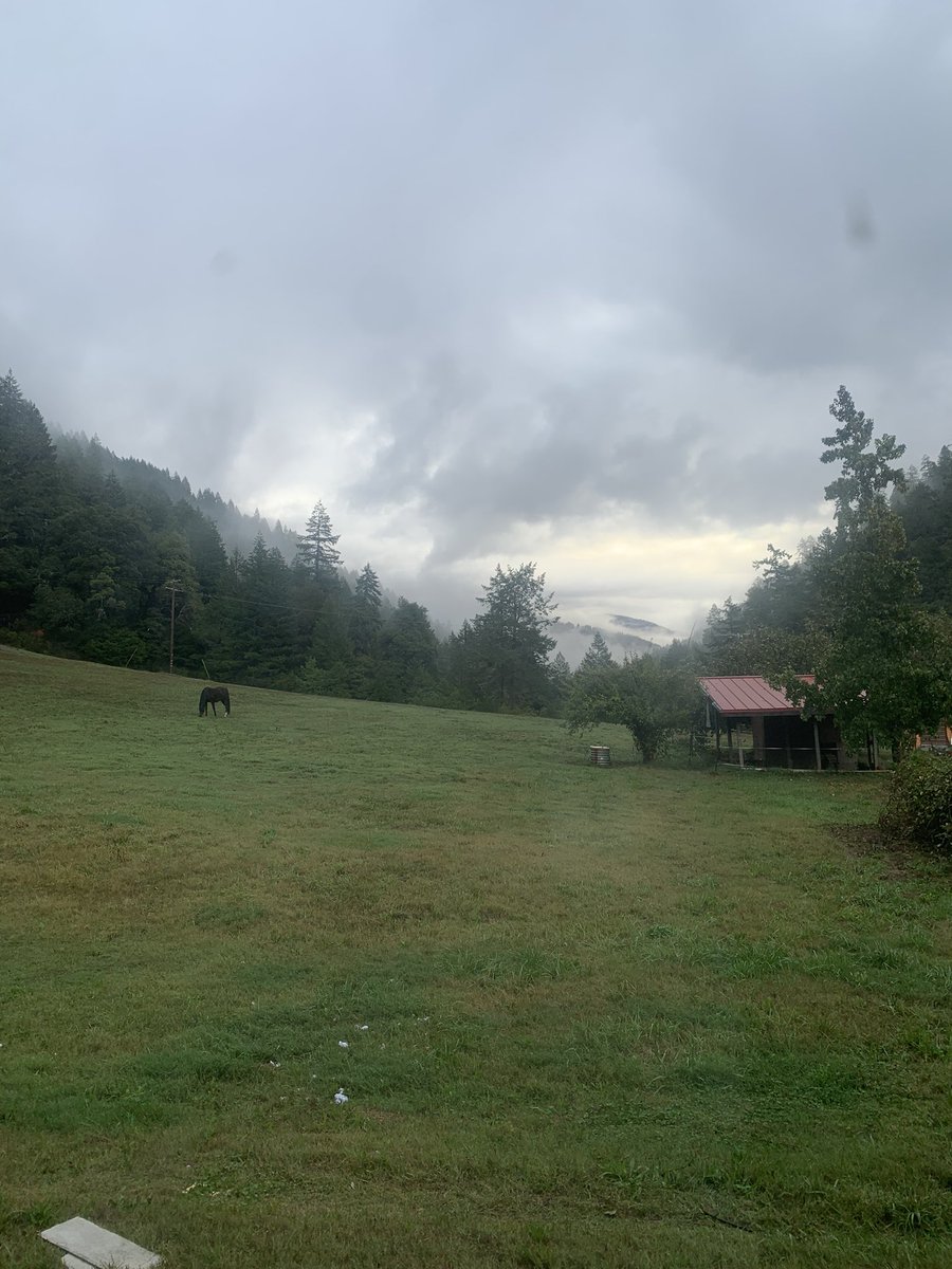 exvanjuggalo's tweet photo. Weekend getaway in the mountains:) I’m gonna get so drunk https://t.co/FOspN679vk