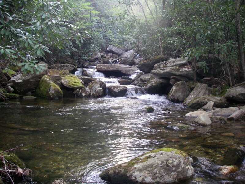 troutphisher's tweet image. Life is like a river; it flows and changes, but its essence remains the same.

Good morning, friends...☕️🍵