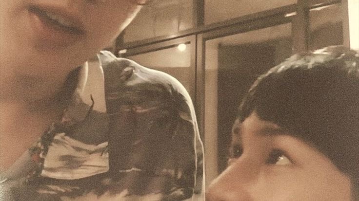 jumsshal's tweet photo. — The Ink of Silence —

an #offgun au
➴ in which Lincoln, a host of a podcast channel who ought to record an episode where he reviews a new dropped album of his beloved artist, was lost for words when that one track took him back to his past, reminding him of his regrets. https://t.co/lgrOOa3utT