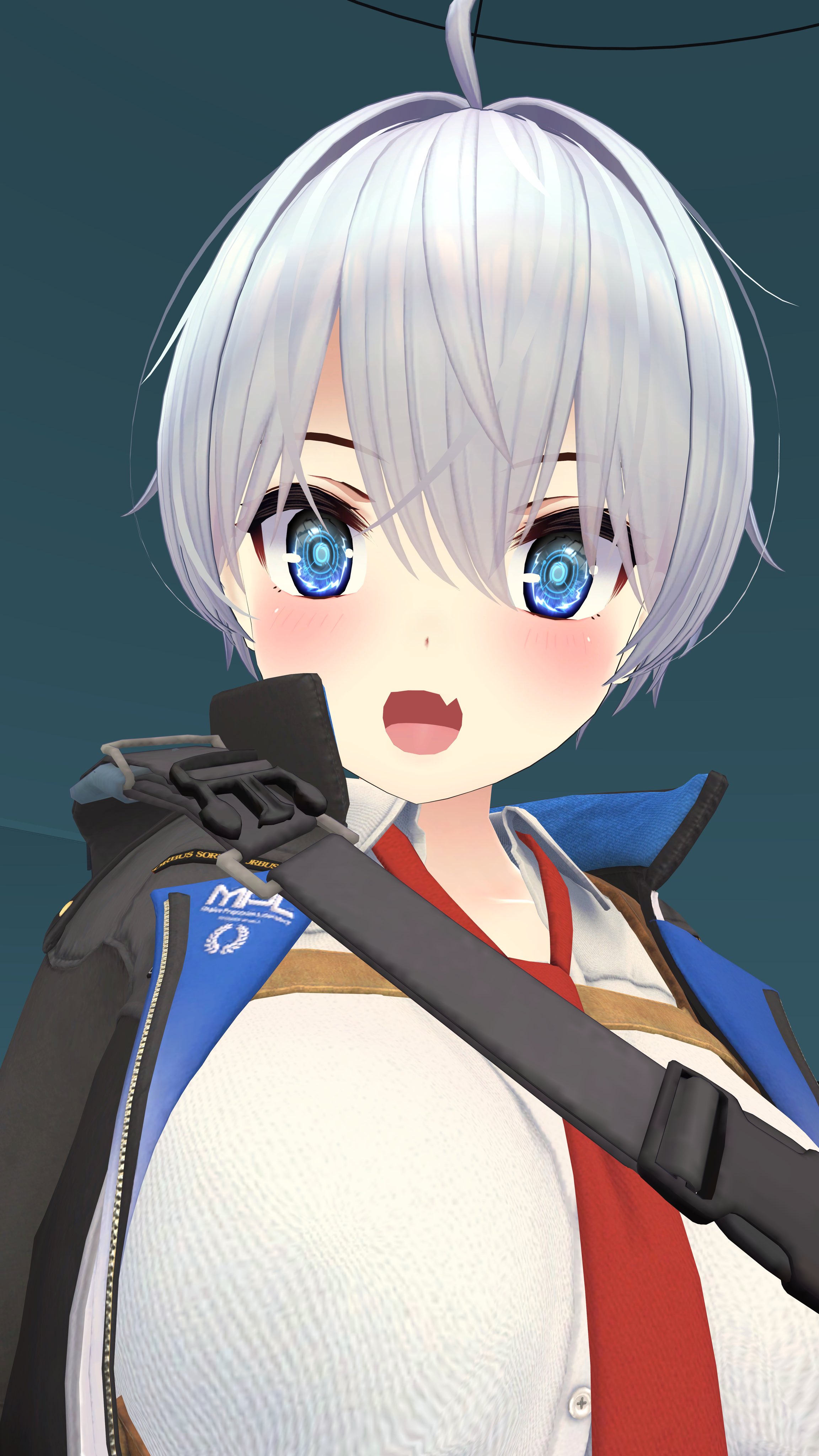 ③猫の日♡限定m(=✧ω✧=)m✧ ✧ ✧ 白猫♡白猫　猫ひな人形 ③猫の日♡限定m(=✧ω✧=)m✧ ✧ ✧