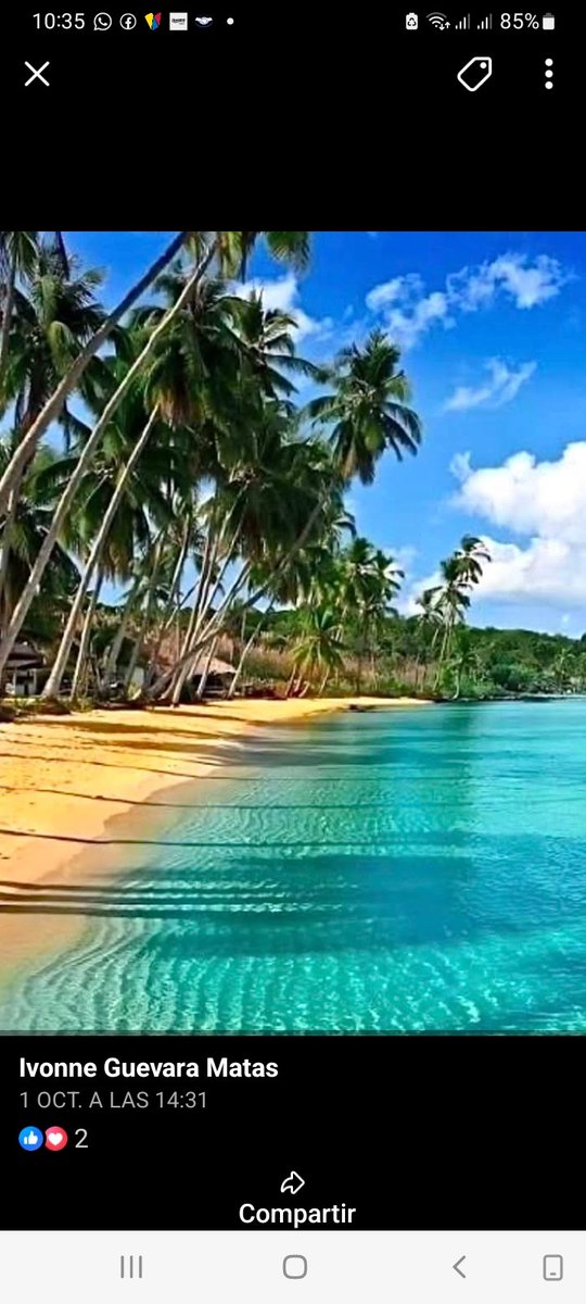 carlossuchanek's tweet photo. #playacolorada #anzoategui la playa más paradisíaca que he conocido en mi vida, ufffff, por lejos https://t.co/59TVnoLTej