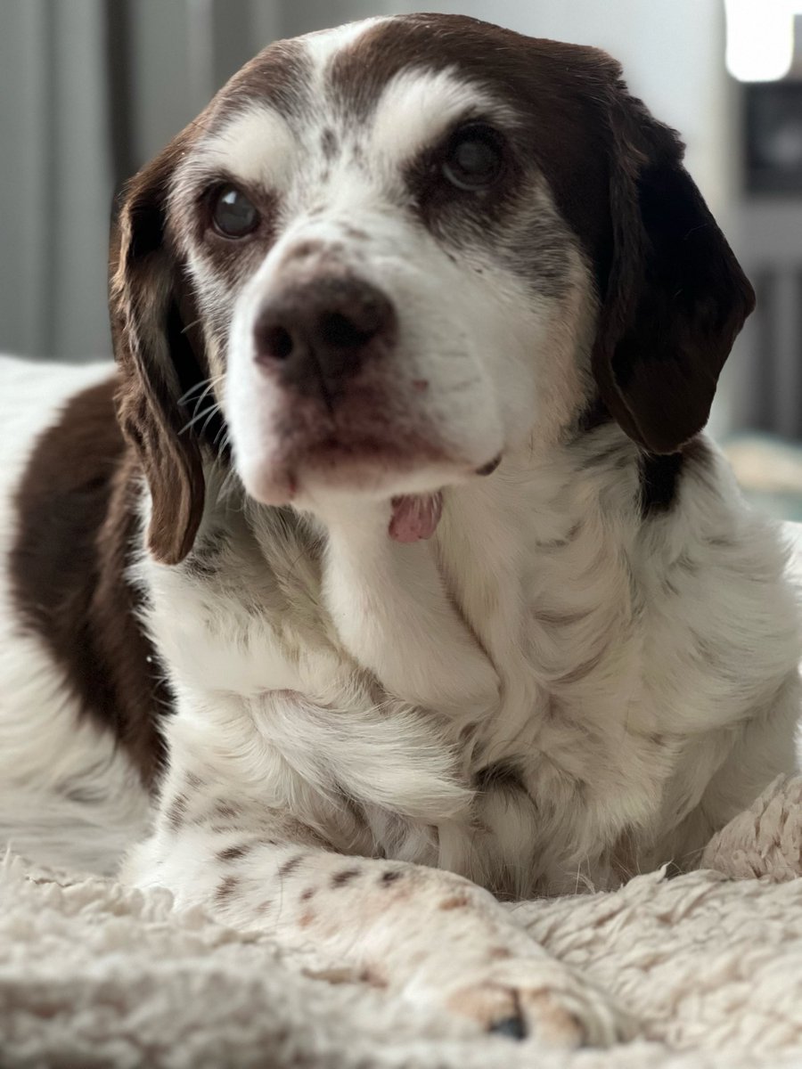 DawnRoderick2's tweet photo. @t4hrts Happy Birthday Cain from my 14 year old boy, Kane 💜❤️ xx https://t.co/I5o2j1PUpV