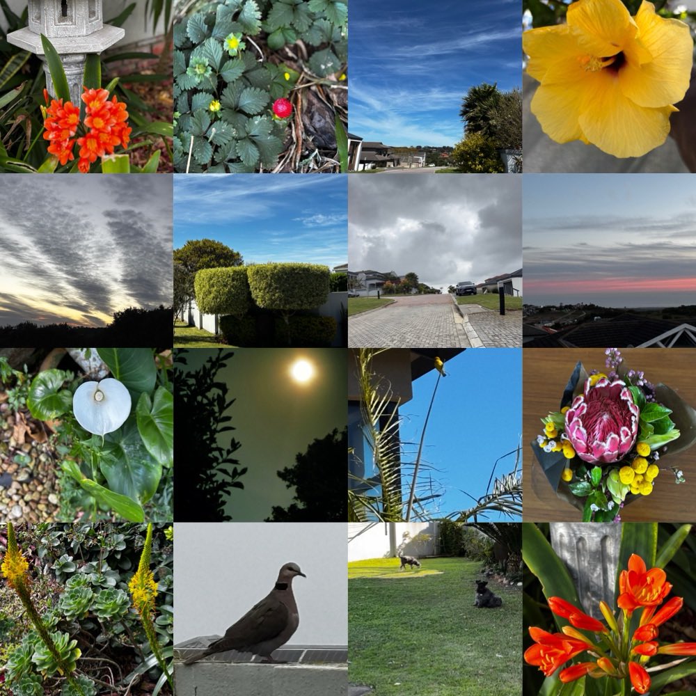 gatvolinthecity's tweet image. #Weekend photographs Taken during the past week