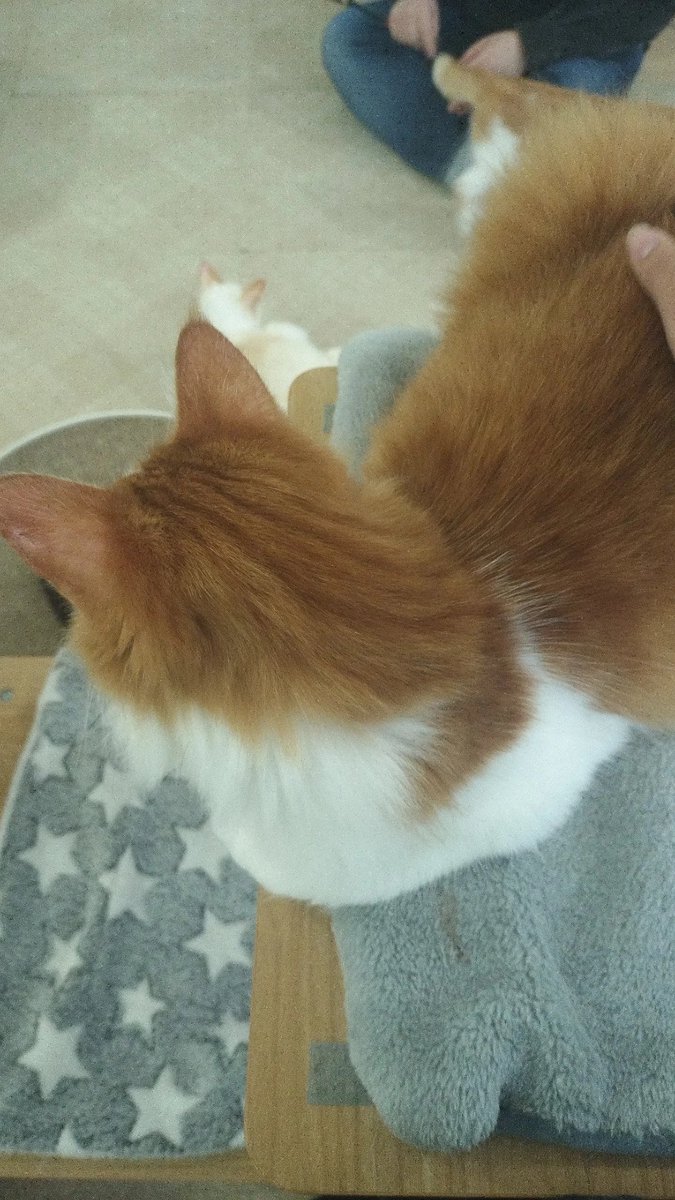 私18日誕生日だからみんな祝ってね❤