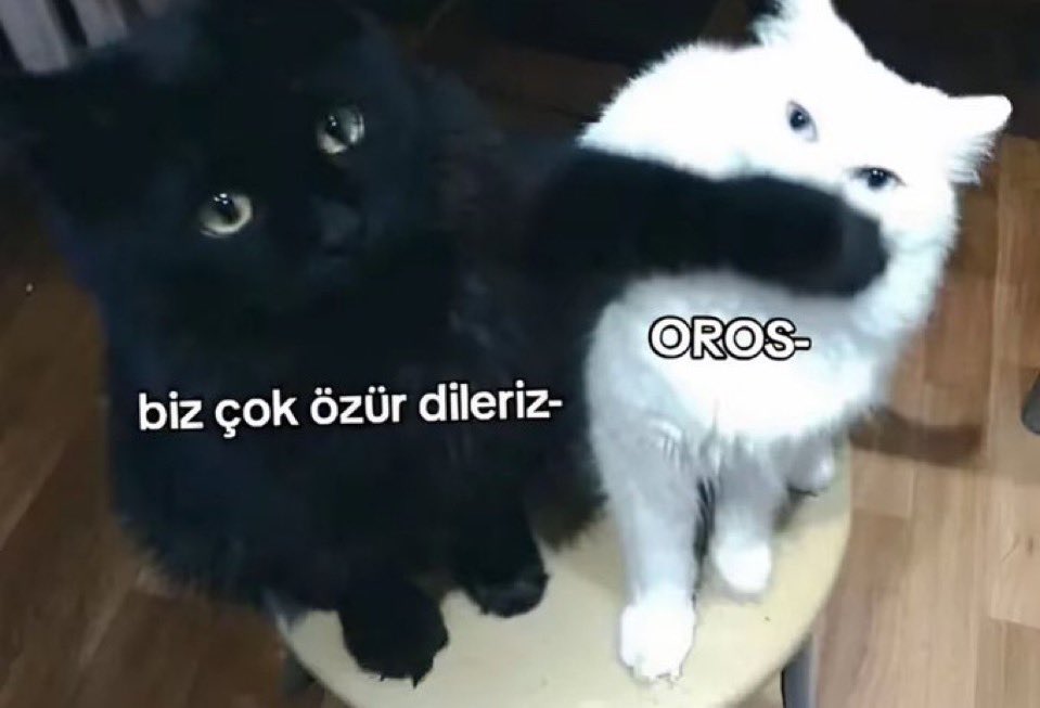 dış sesim                                       iç sesim