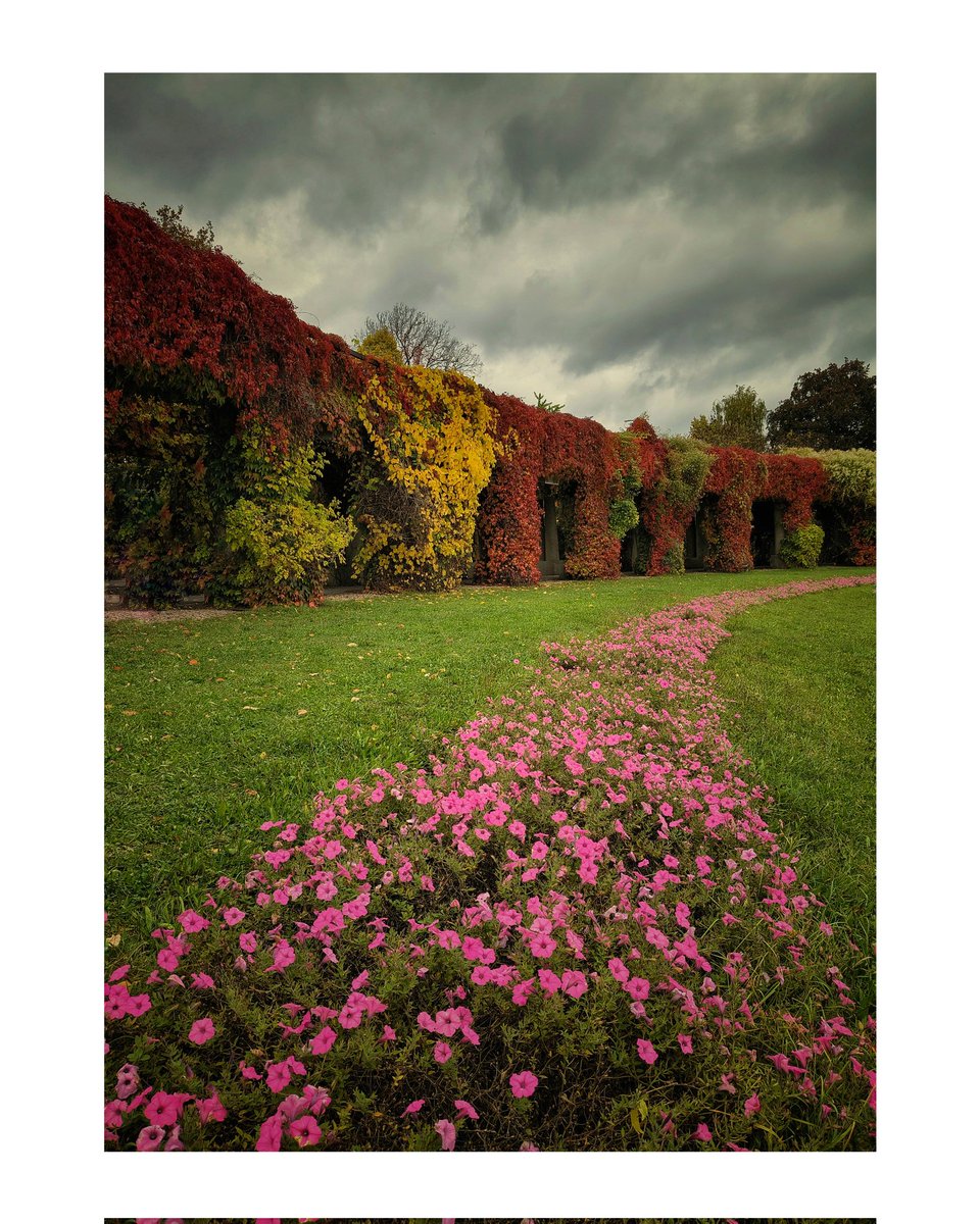 Marek Czartoryski (@markchortsnotes) on Twitter photo 