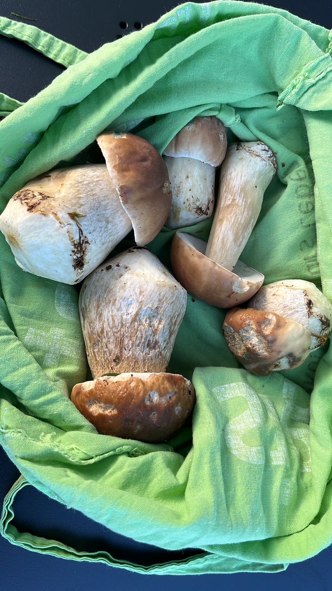 Robert Barmettler tweet media