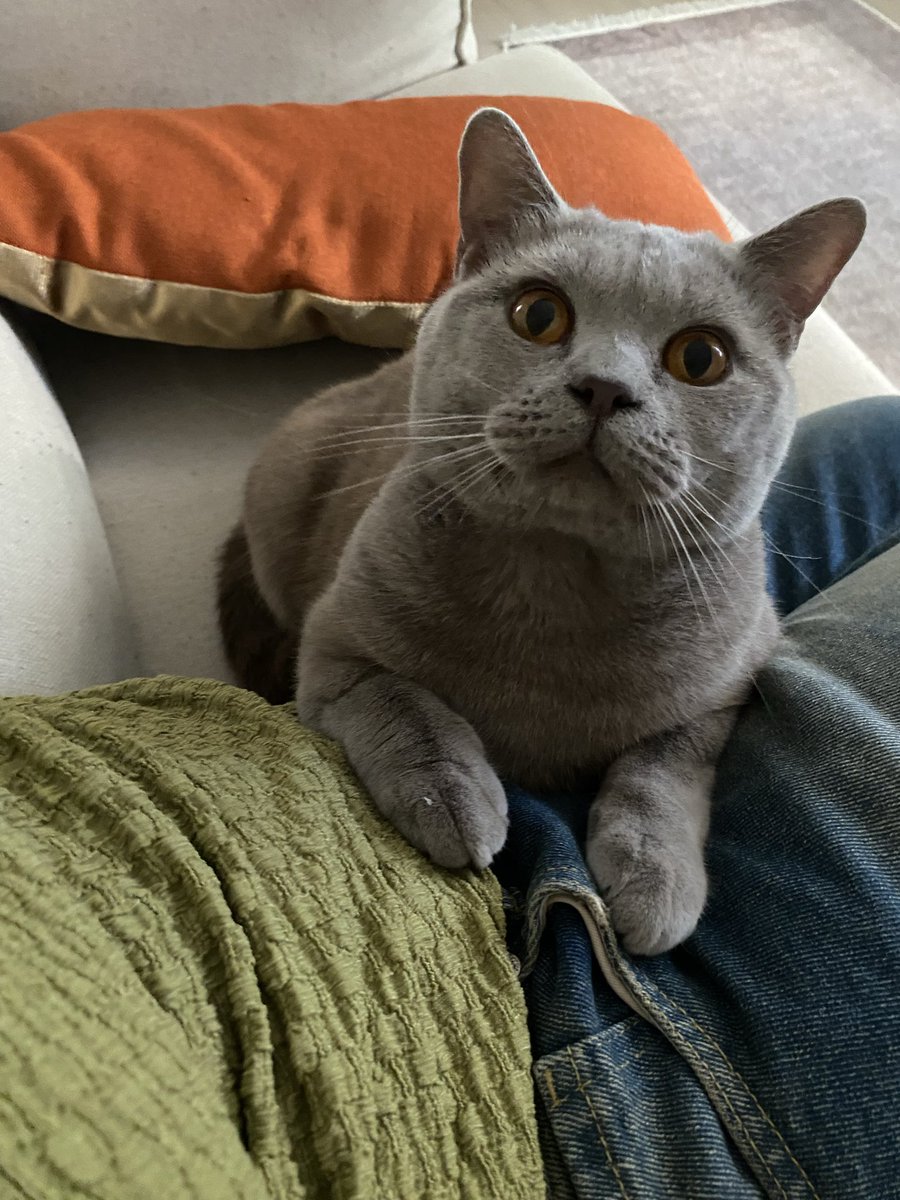 BİLGE (@bilgekimki) on Twitter photo 