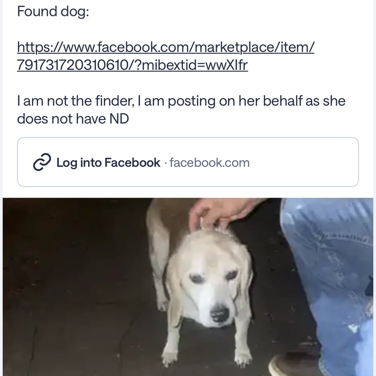 209tonytony's tweet photo. $BUSTED
DOG BUSTED
Next 10x Runner 💰

CA: BBSTPf2ddrC7Sw7vrvEcWM2WM97A6JFNLy6V4ZsFpump https://t.co/FuUl986Xwa