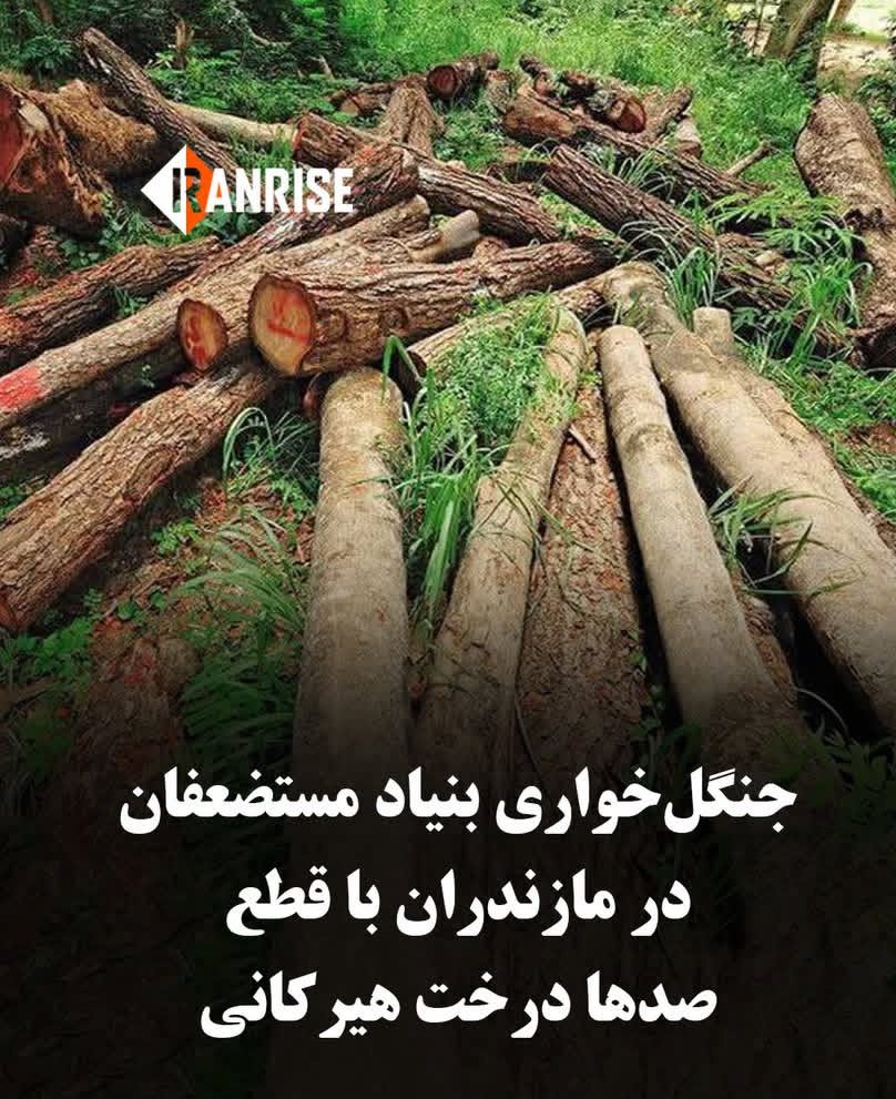 oghabarya's tweet photo. میدونم به پشمتون هم نیس 
ولی 
جنگل های هیرکانی به علت  نابودی از لیست ثبت جهانی خارج شد https://t.co/tKzqBmZRMY