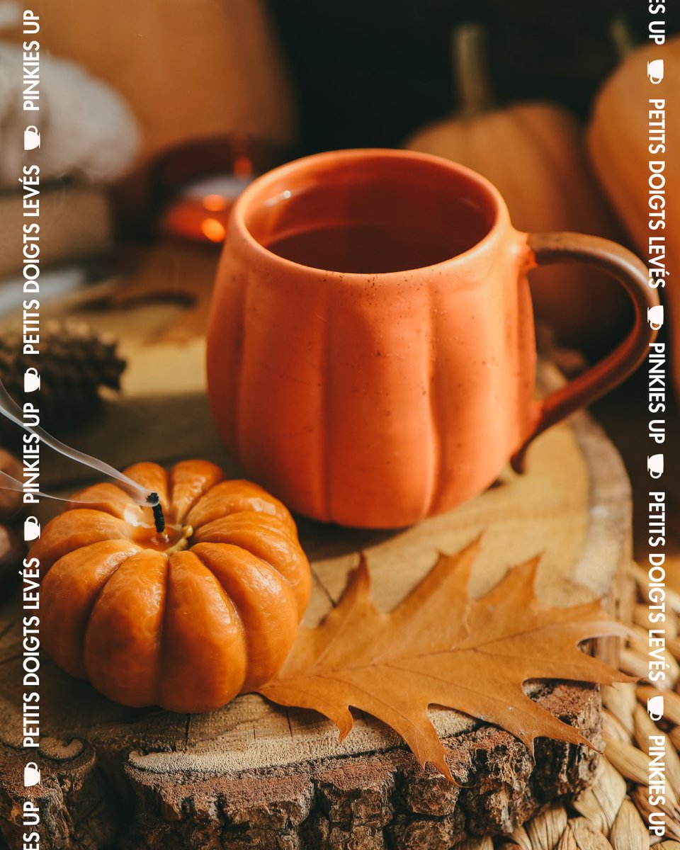 This Thanksgiving weekend is all about time with friends and family—sharing meals, apple picking, pumpkin patch visits, and long autumn walks. 🍂🦃 And of course, everything feels a little cozier with a cup of tea by your side. 🍵💚 #FallIntoTea #PinkiesUp #BrewCrew