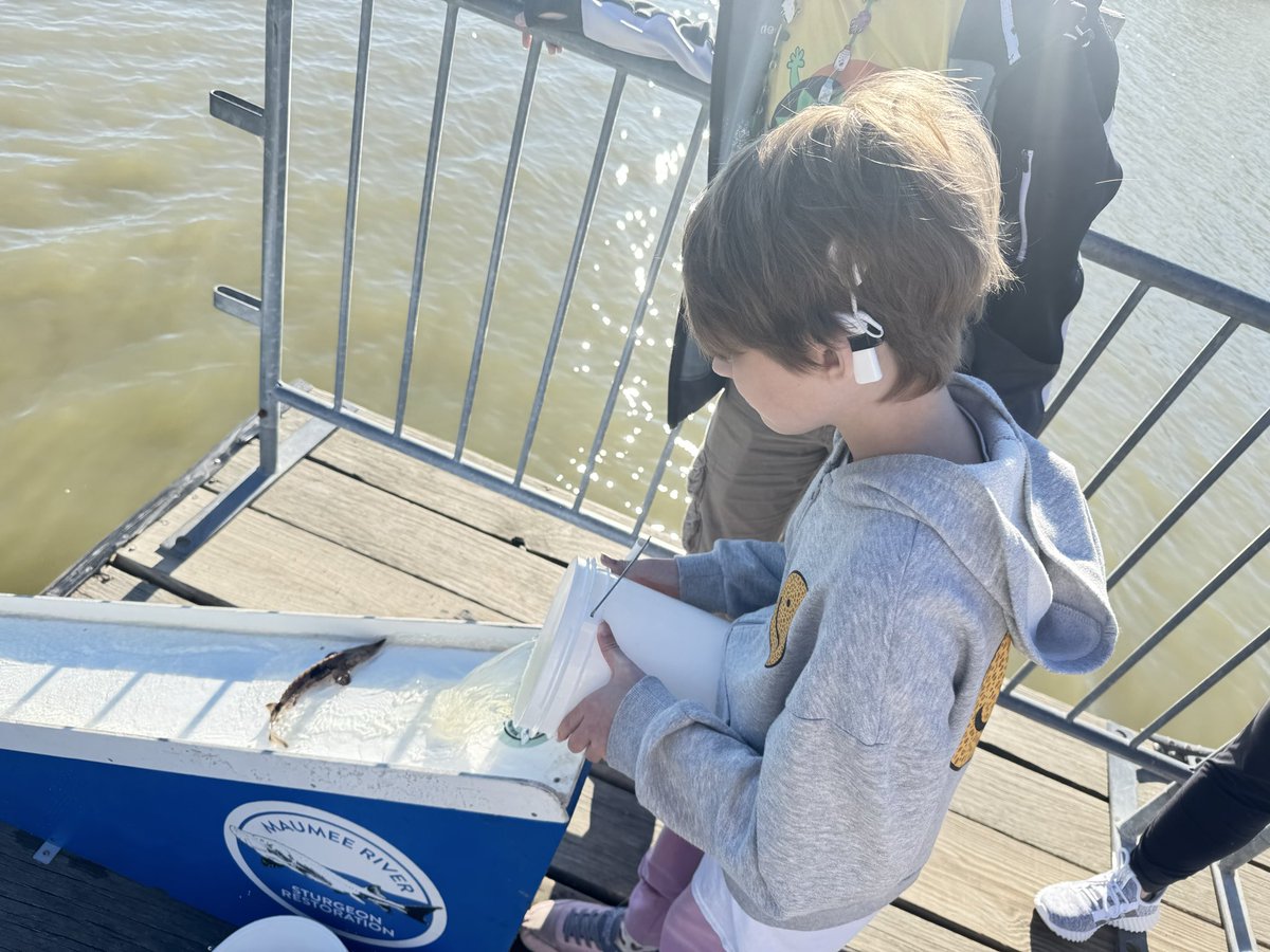 Hull Prairie Intermediate - Perrysburg tweet media