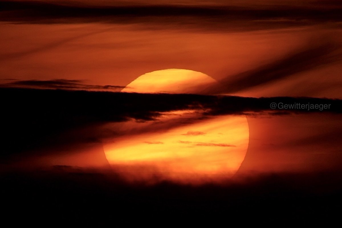Gewitterjaeger's tweet image. An diesen trüben (Hochnebel-)Tagen muss man jeden Sonnenstrahl irgendwie nutzen, der sich einem bietet.

#sunset #autumn