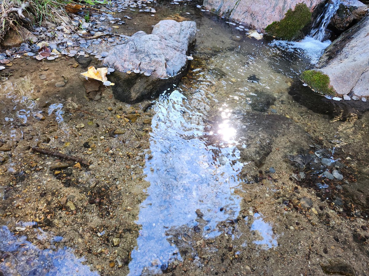 GregLionhart's tweet image. #Stream #Rocks #Hiking #MyPhoto #Photography