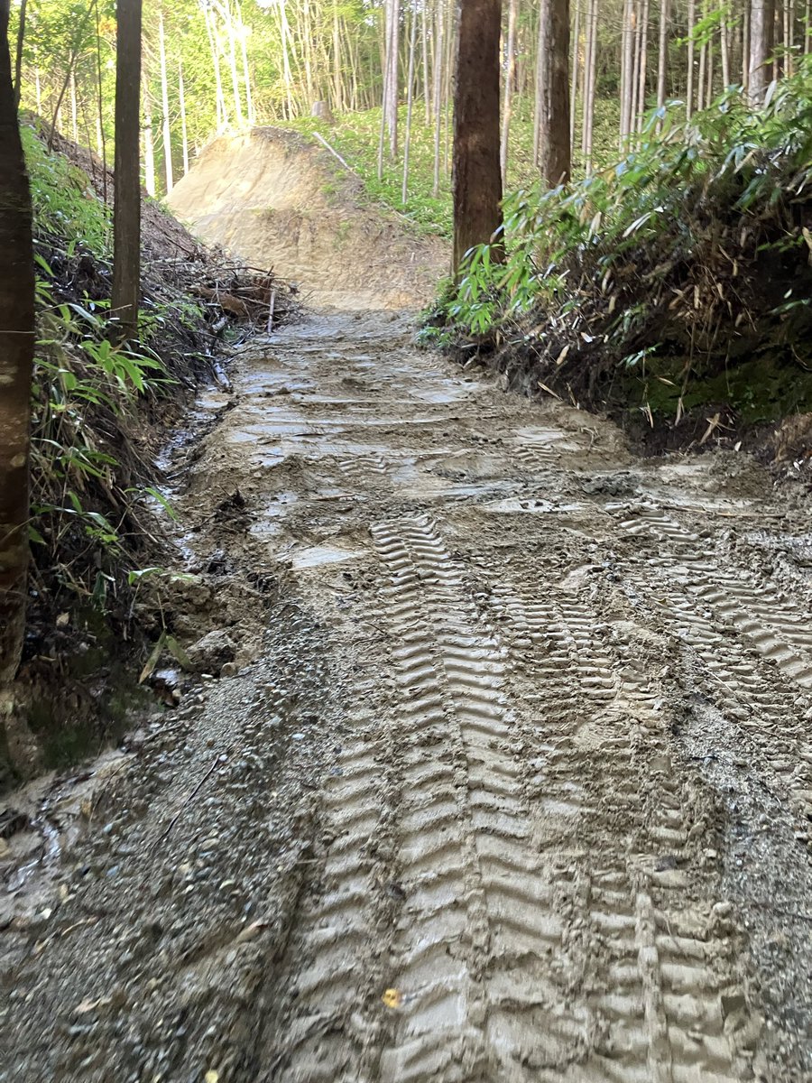 ichiniicamp's tweet photo. バックヤードの道はかなり大変だったけど、何とか治水処理も成功でちゃんと道が貫通できた（笑）
このエリアにオフ車中心のサイトを予定してます。
#キャンプ 
#キャンプ場
#キャンプ場作り 
#キャンプ好きと繋がりたい
#キャンプ好きな人と繋がりたい
#ソロキャンプ
#キャンプ女子
#キャンプ男子 https://t.co/Ez64pCcp8m