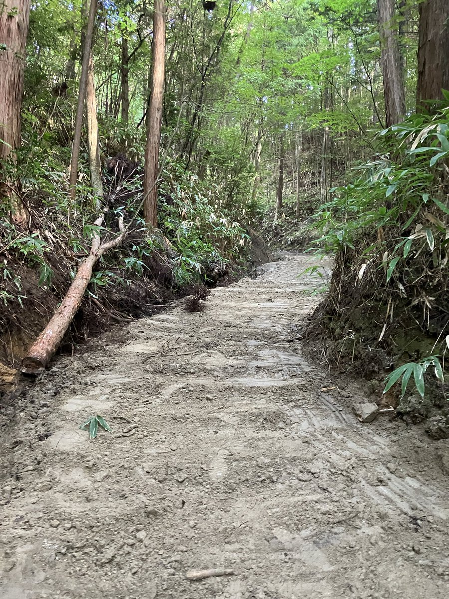 ichiniicamp's tweet photo. バックヤードの道はかなり大変だったけど、何とか治水処理も成功でちゃんと道が貫通できた（笑）
このエリアにオフ車中心のサイトを予定してます。
#キャンプ 
#キャンプ場
#キャンプ場作り 
#キャンプ好きと繋がりたい
#キャンプ好きな人と繋がりたい
#ソロキャンプ
#キャンプ女子
#キャンプ男子 https://t.co/Ez64pCcp8m
