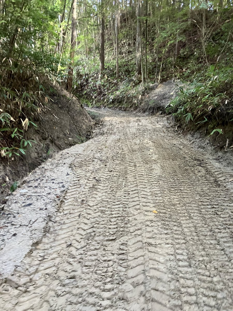 ichiniicamp's tweet photo. バックヤードの道はかなり大変だったけど、何とか治水処理も成功でちゃんと道が貫通できた（笑）
このエリアにオフ車中心のサイトを予定してます。
#キャンプ 
#キャンプ場
#キャンプ場作り 
#キャンプ好きと繋がりたい
#キャンプ好きな人と繋がりたい
#ソロキャンプ
#キャンプ女子
#キャンプ男子 https://t.co/Ez64pCcp8m