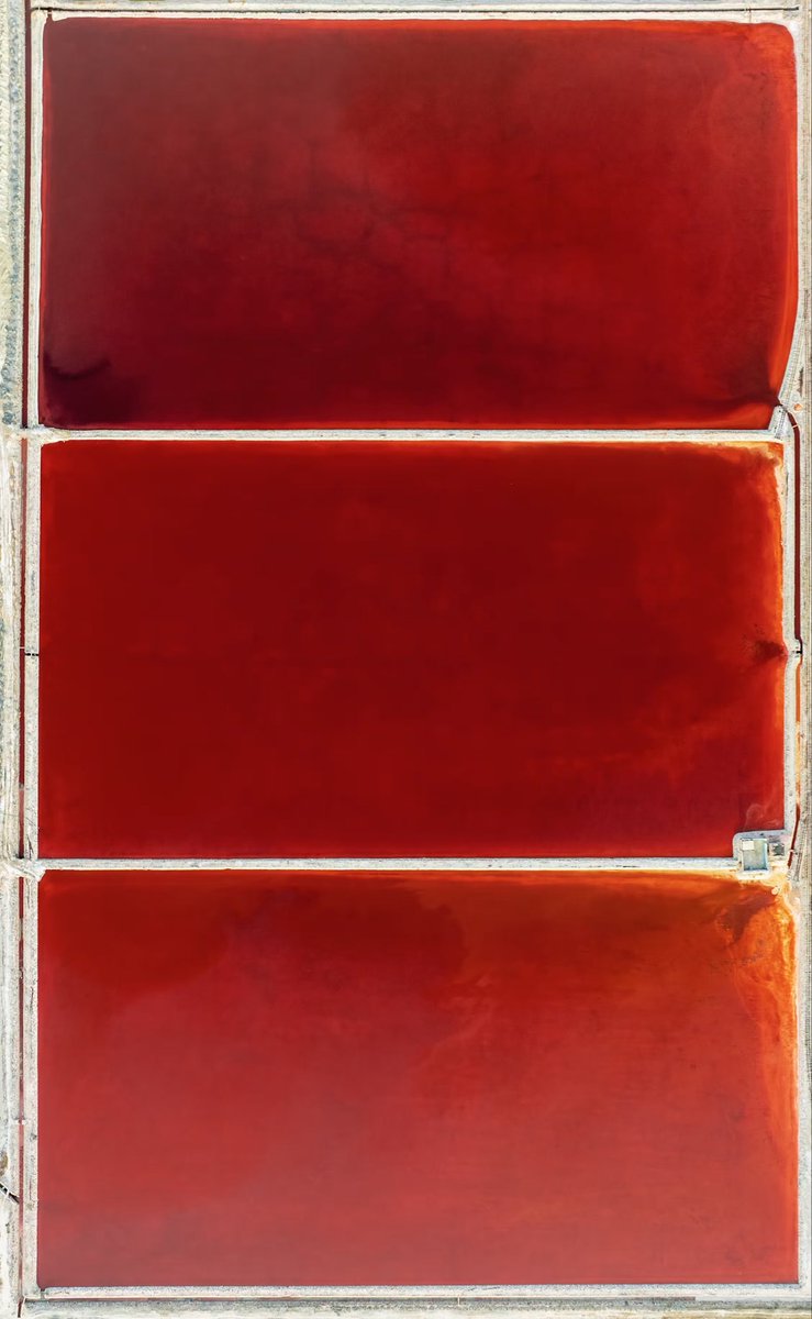 rakesh_pulapa's tweet image. No. 3 (Red And Red Over Red) 

In the amazing collection of @lotsofnfts