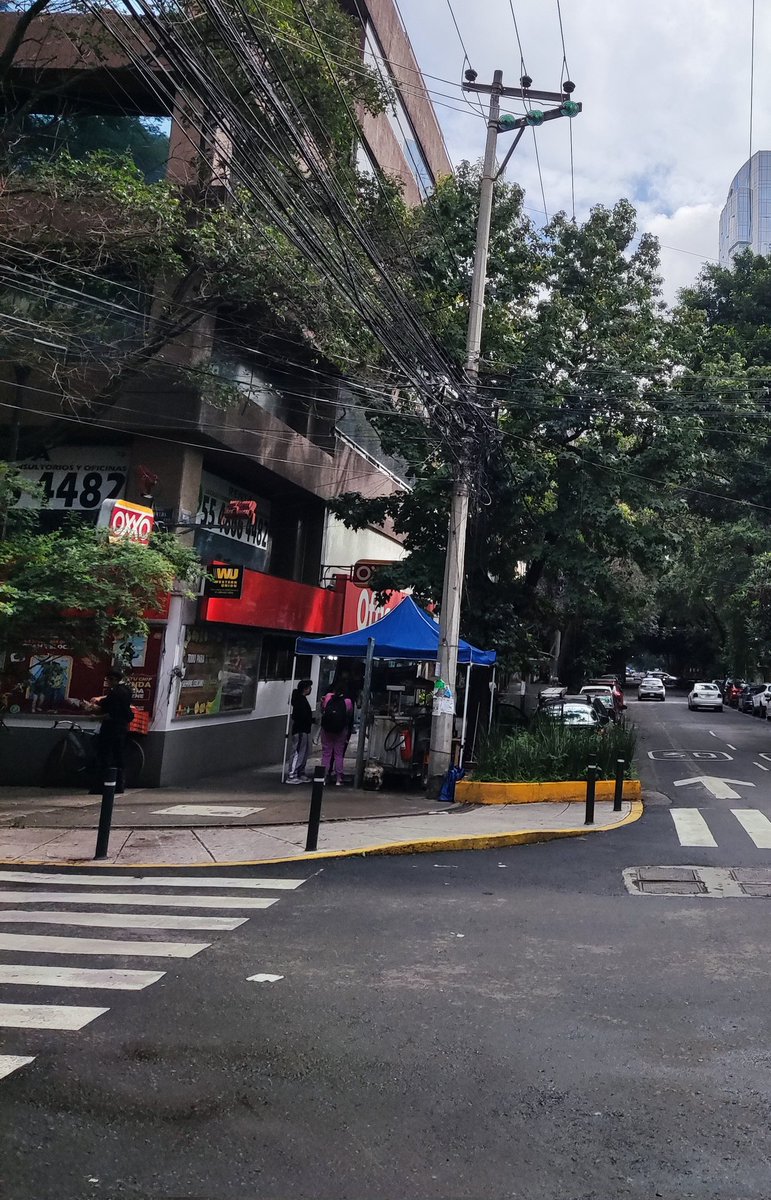 Melchor Observa tweet media