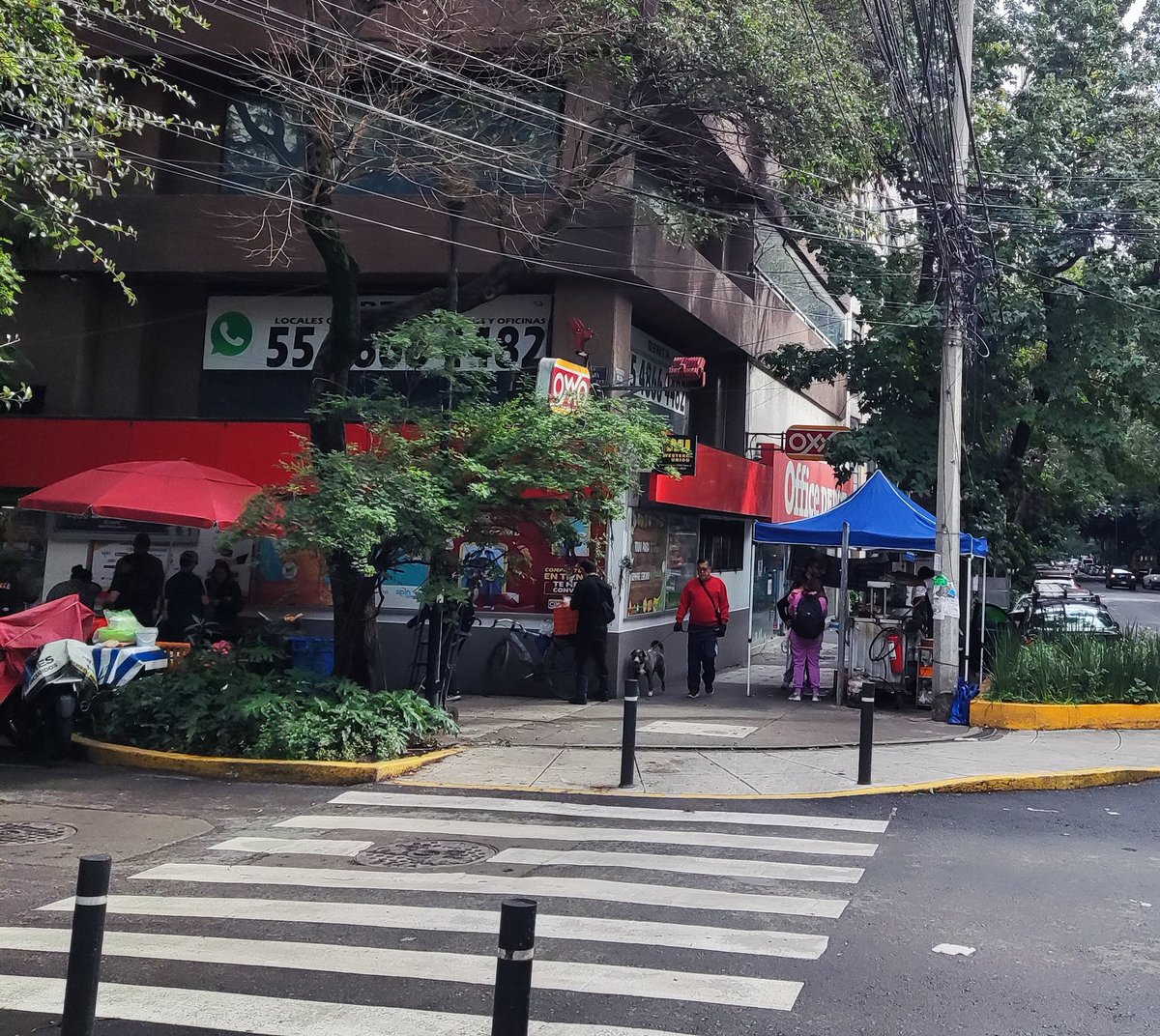 Melchor Observa tweet media