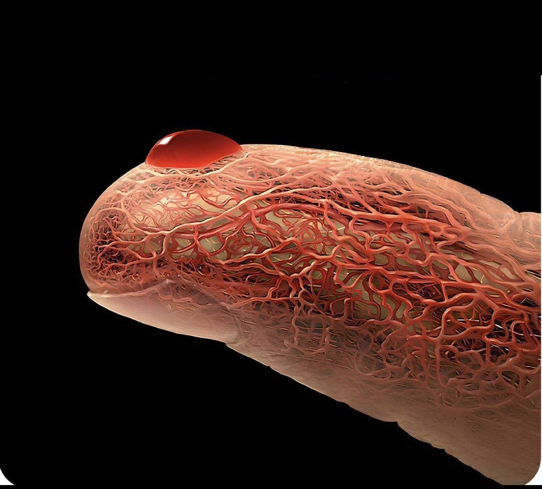 Sana herkes sırtını dönse de ‘Ben sana şah damarından daha yakınım’ diyen bir Rabbim var...