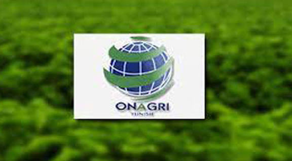 #Tunisia’s certified seed stocks for 2025–2026 grain season reached 702,000 quintals, up sharply from last year, with pure seed output up 97% (515,000 vs 261,000), fertiliser prices maintained &amp; #GCT to produce 150,000 t of ammonium nitrate &amp; 70,000 t to be imported. #TAP_En